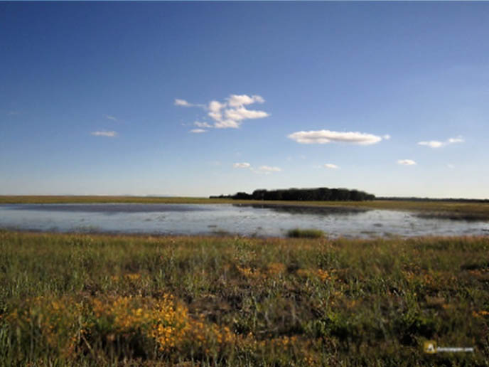 Multidisciplinary Assessment of Nature-Based Strategies to Address Groundwater Overexploitation and Drought Risk in Medina Del Campo Groundwater Body