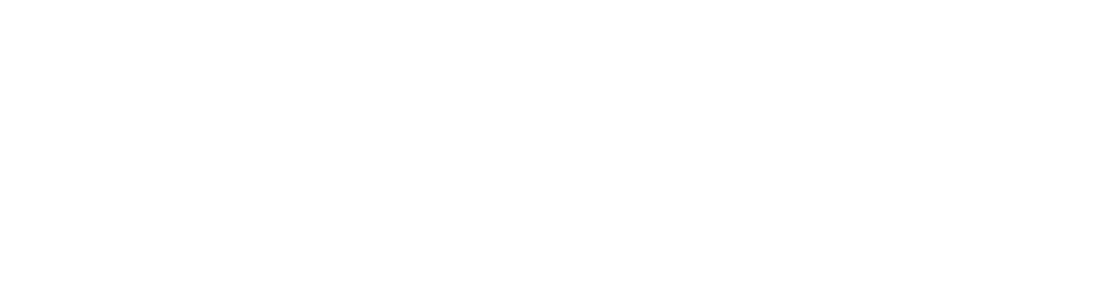 Carrera Global Solutions