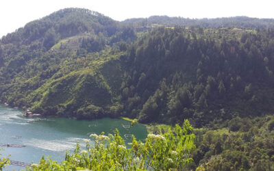 Basin Water Resources Management Planning in Indonesia