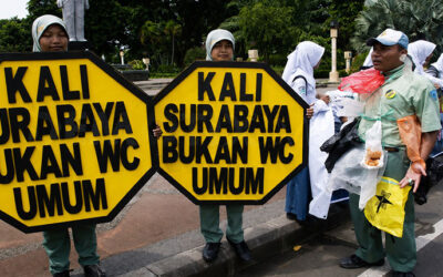 Water Resources Management in Surabaya river basin