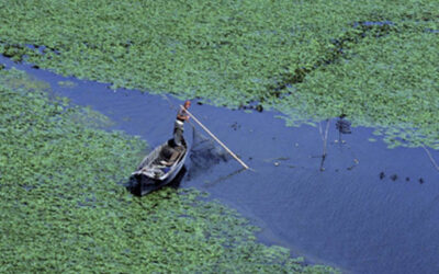 Handbook for the Implementation of Nature-based Solutions for Water Security: Guidelines for designing an implementation and financing  arrangement