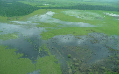 Stakeholder oriented optimization of a Flood Warning System