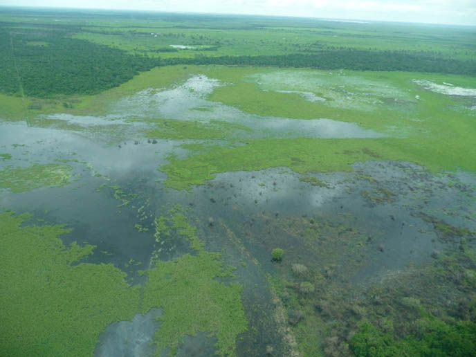Stakeholder oriented optimization of a Flood Warning System