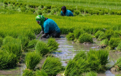 Peru Valuing Water Journey