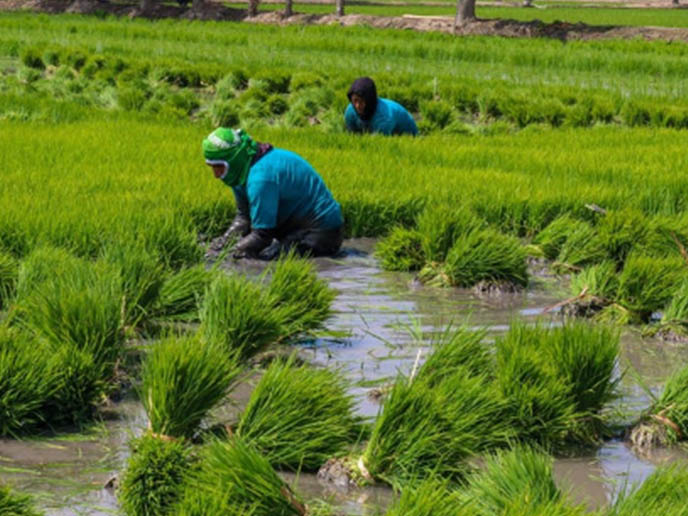 Peru Valuing Water Journey