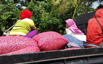 Stakeholder Partnerships: Collaborative Modeling as a Mechanism for Sustainable Development