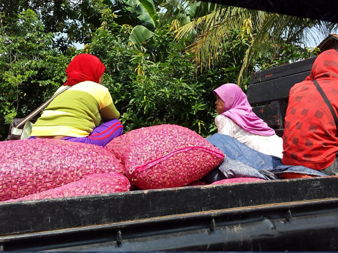 Stakeholder Partnerships: Collaborative Modeling as a Mechanism for Sustainable Development