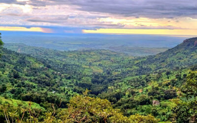 Uganda Climate Mobility Blueprint